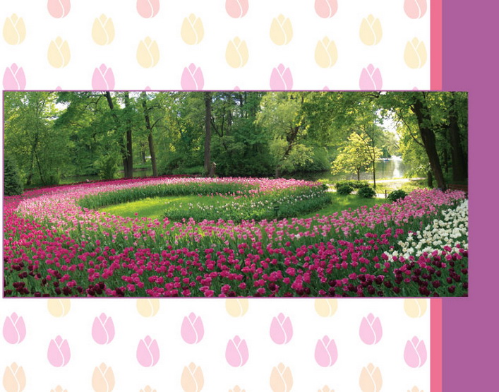 Тюльпаны оптом: Фестиваль тюльпанов в СПб Российские Тюльпаны Оптом про тюльпаны Санкт-Петербурга